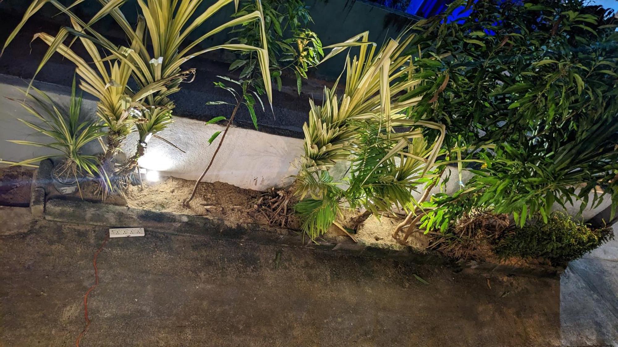 Hiriketiya Hideaway Hotel Dikwella Ngoại thất bức ảnh